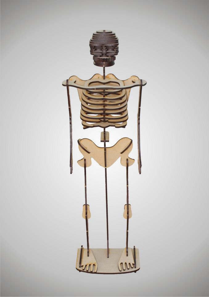 Esqueleto Humano.